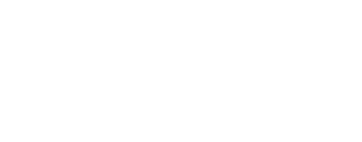 Brabant Startup Fonds